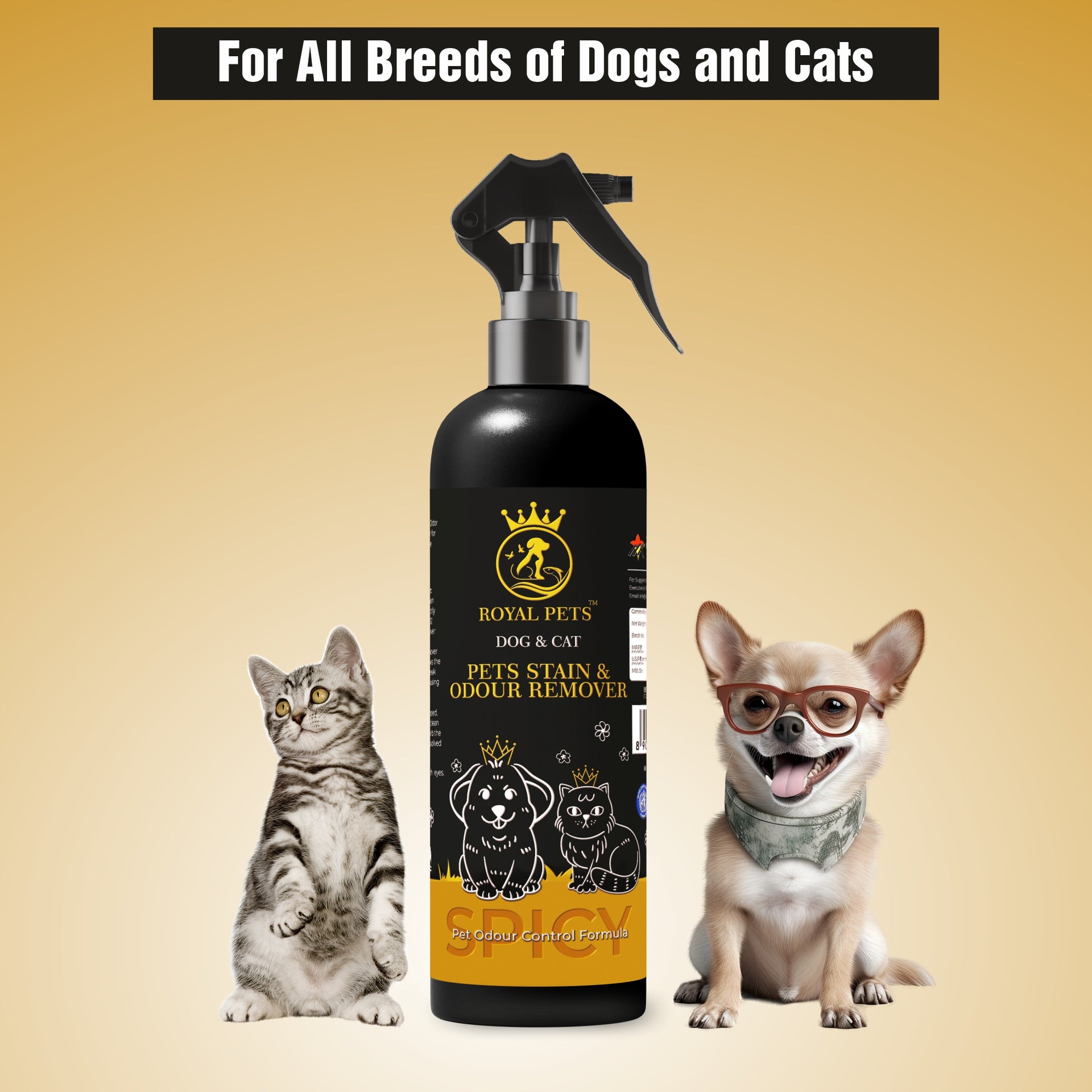 Royal Pets Stain and Odour Remover Spray for Dog and Cat | Removes Tough Stain and Eliminates Odour - 250 ml