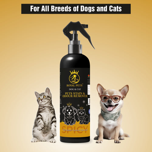 Royal Pets Stain and Odour Remover Spray for Dog and Cat | Removes Tough Stain and Eliminates Odour - 250 ml